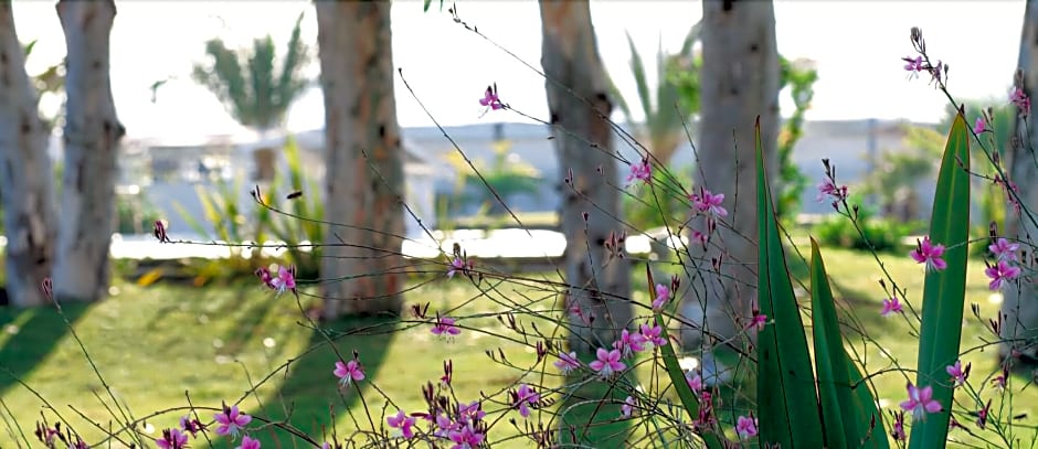 Turchesi Club Village