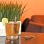 Alou Hotel Boutique