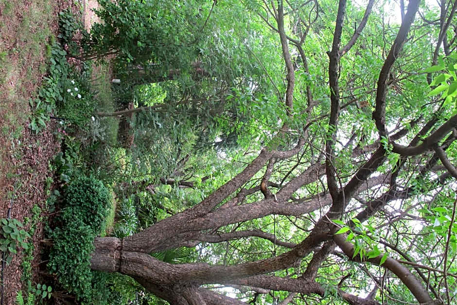 Holmhurst Guest House