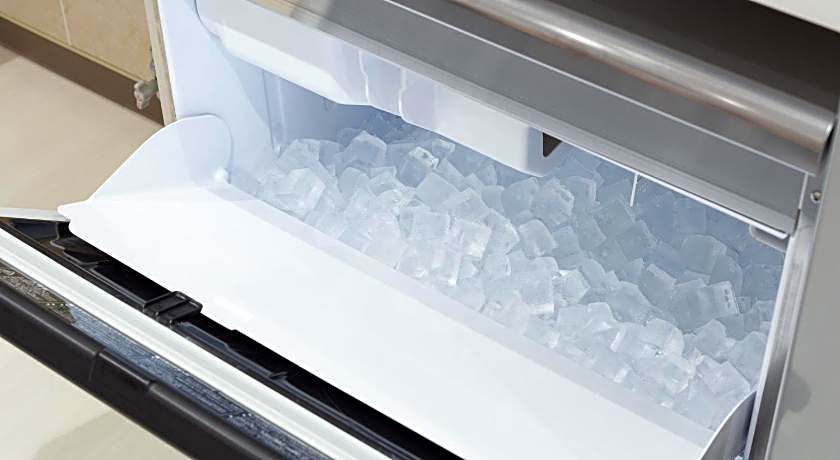 Wild Cherry Blossom HOSTEL,TOKYO KOGANEI