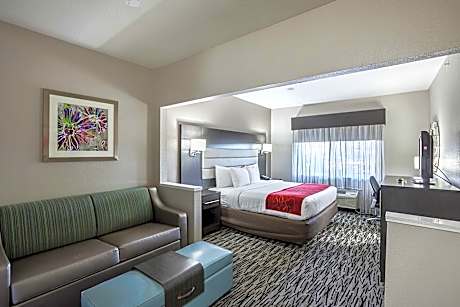 1 King Bed, Nonsmoking