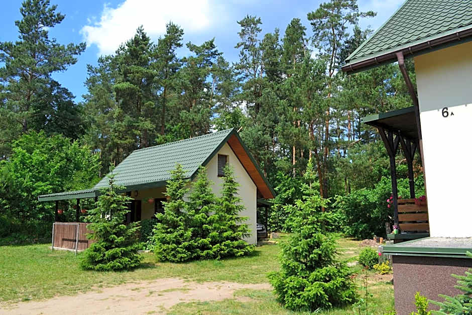 Domek w Sajenku