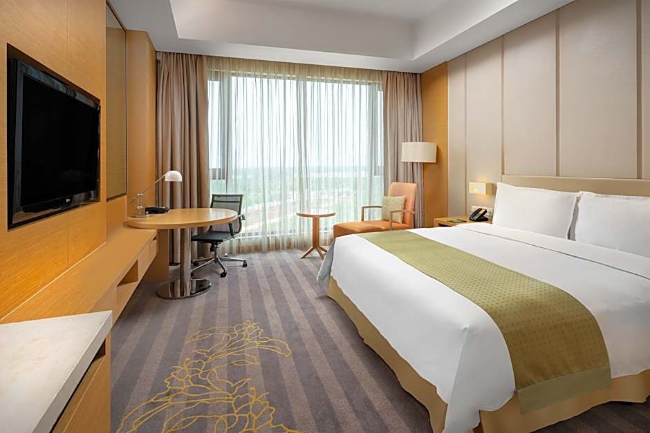Holiday Inn Nanyang By IHG