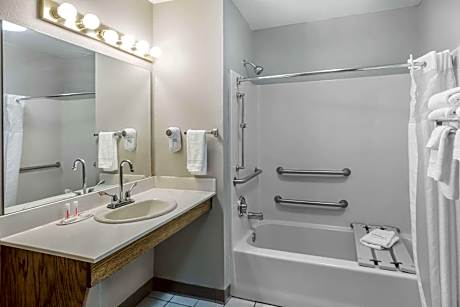 1 Double Bed, Accessible Room, Smoking