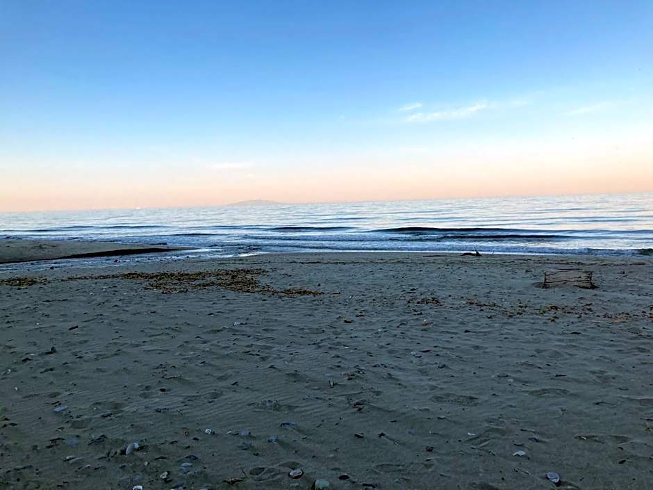 Hôtel La Demeure Coloniale