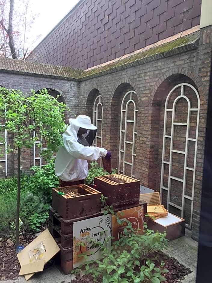 ibis Antwerpen Centrum