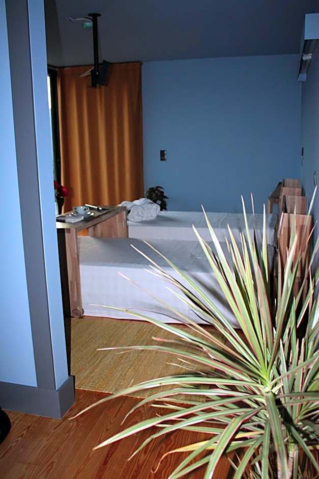 ArsDurium Douro hotel