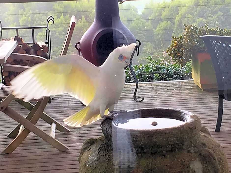 Llarrinda Bed & Breakfast