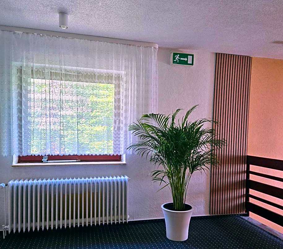 Damhirsch