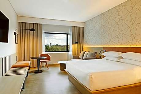 Deluxe King Room