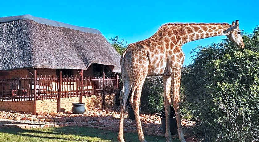 Valley Bushveld Country Lodge