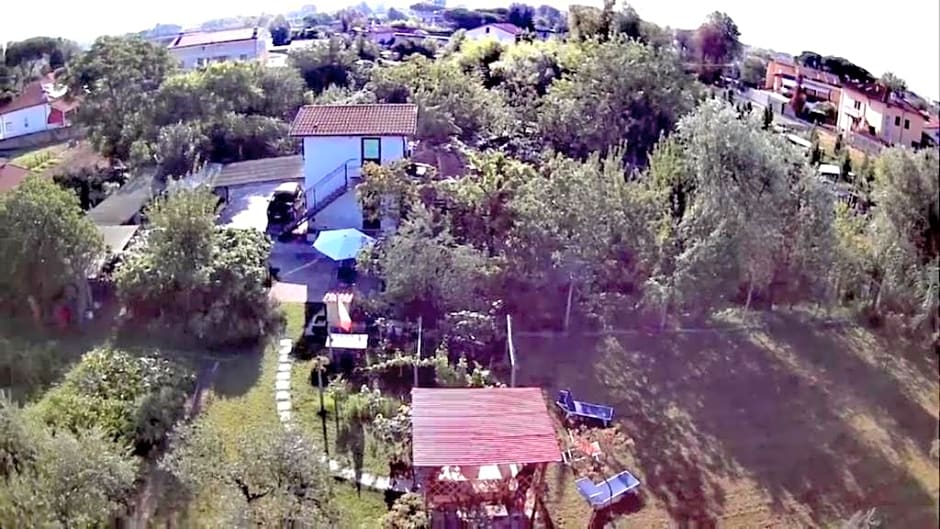 Nonna Piera – Marina di Carrara, WI