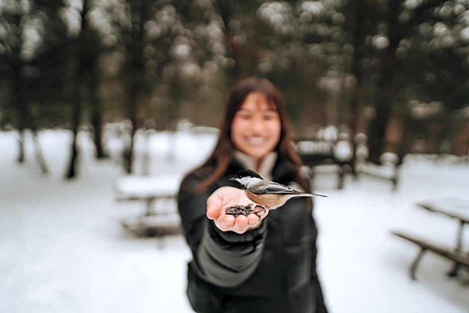 Holiday Inn Express - Strathroy By IHG