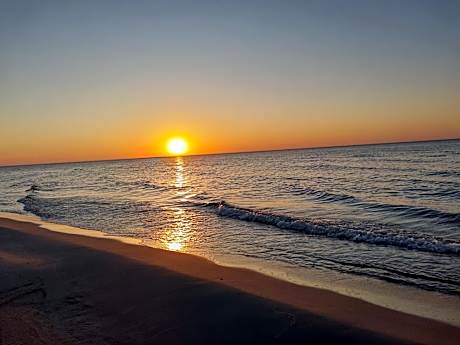 domek Drewniany na wiejskiej