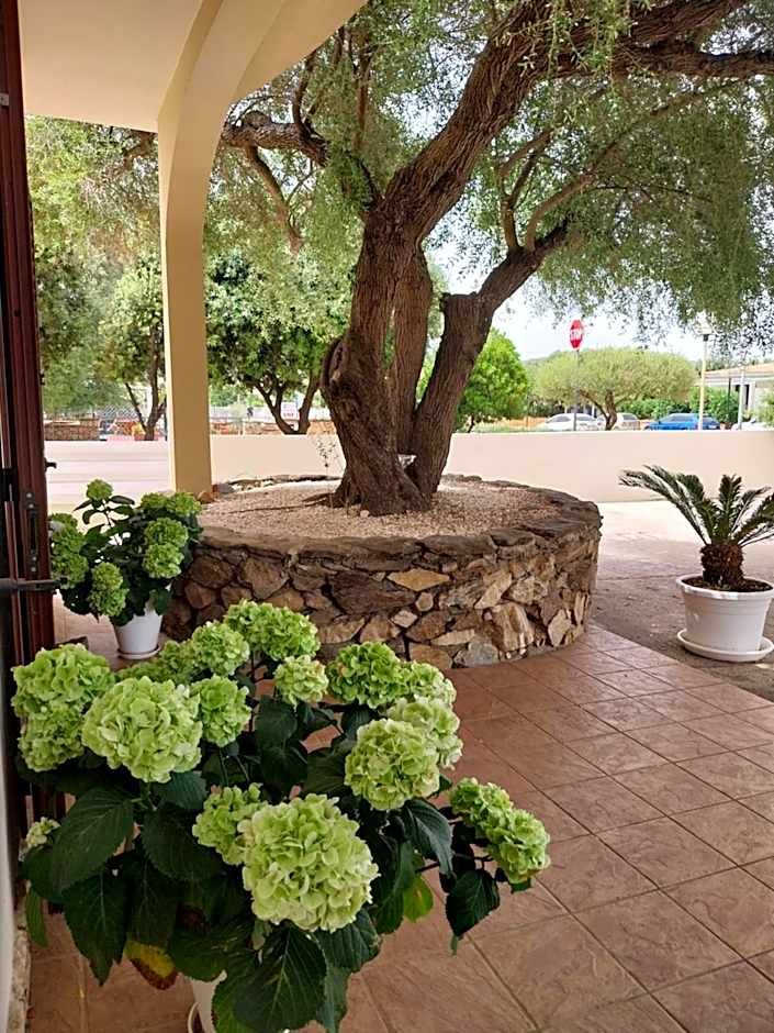 Mivida "Le stanze di Ada"