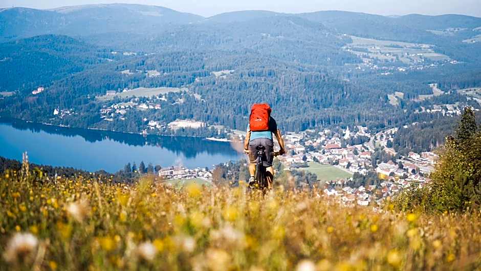 Alemannenhof - Boutique Hotel am Titisee