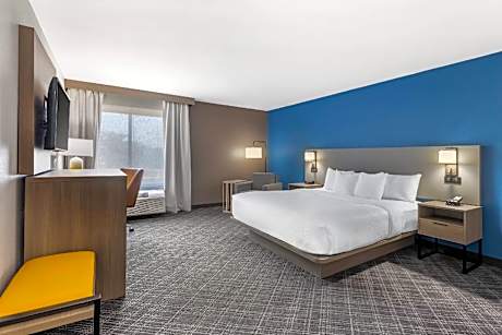 1 King Bed, Nonsmoking