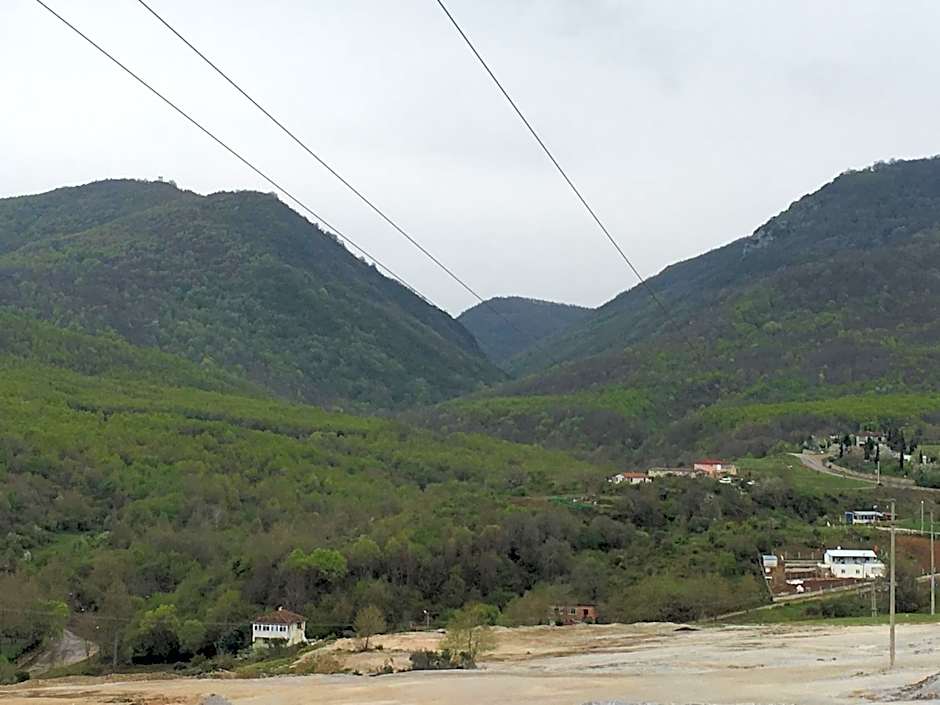 PASHA APART~BOUTİQUE HOTEL/YALOVA