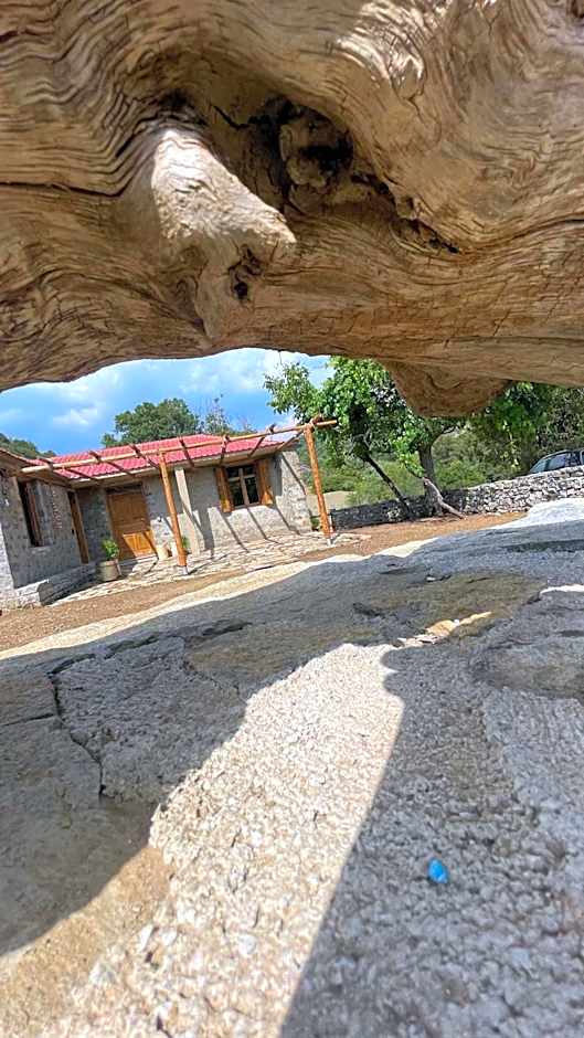 ΠΕΤΡΑΣΤΕΡΟ rooms