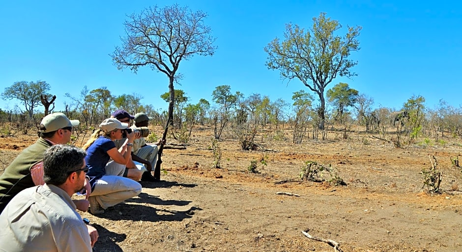 Hoyo Hoyo Safari Lodge - All Inclusive