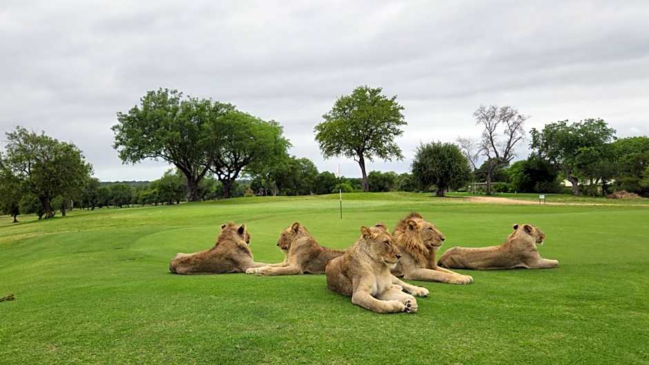 Rhino Post Safari Lodge