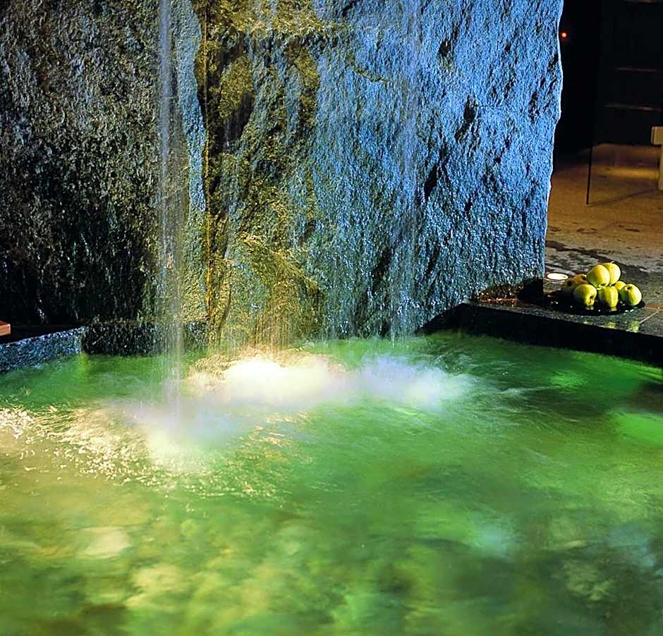 Hotel Steinbock Pontresina