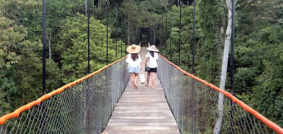 Green Forest Tangkahan