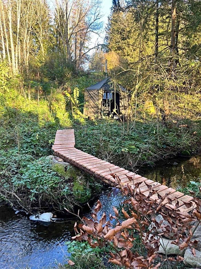 Wald ist Zukunft