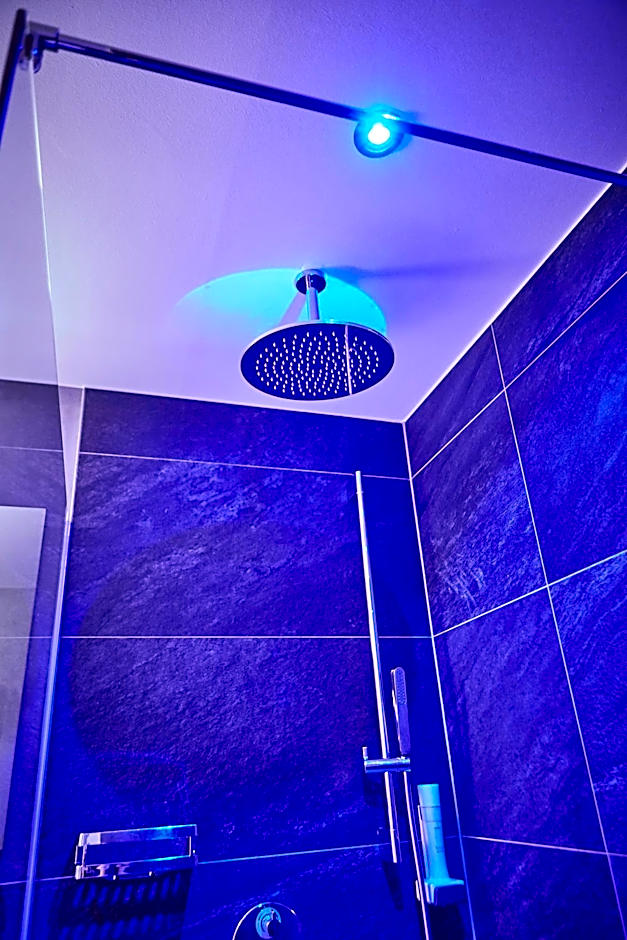 Bauernhof Hotel Oberschwarzach