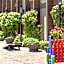 Best Western Plus Truckee-Tahoe Hotel