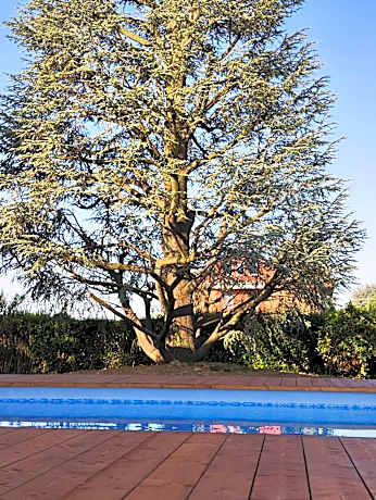 Villa Cresto