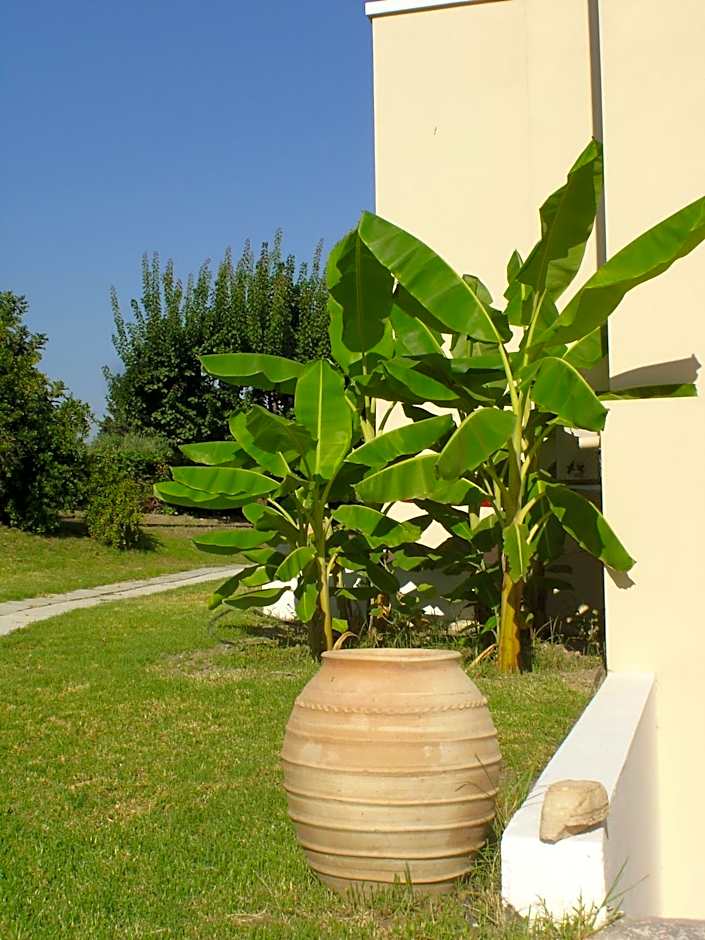 Andromeda Hotel Apartments