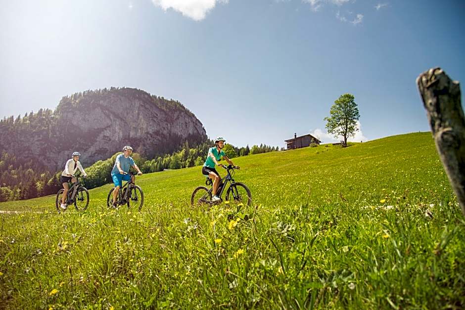 Hotel Vitaloase zu den drei Brüdern