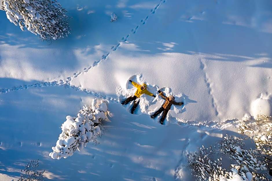 Arctic TreeHouse Hotel