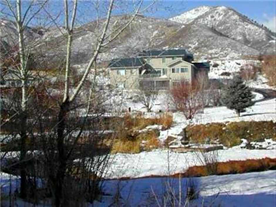 Hummingbird Springs Luxury Home