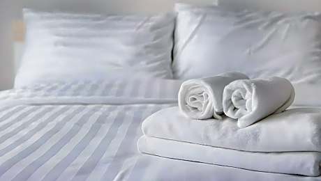 2 Queen Accessible Room Roll In Shower