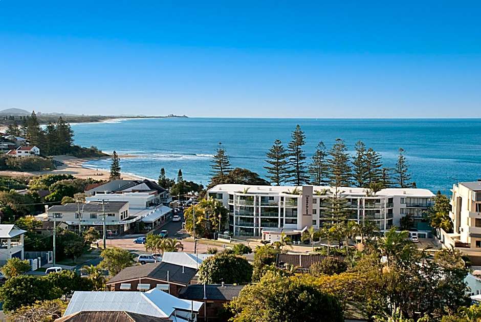 The Norfolks on Moffat Beach