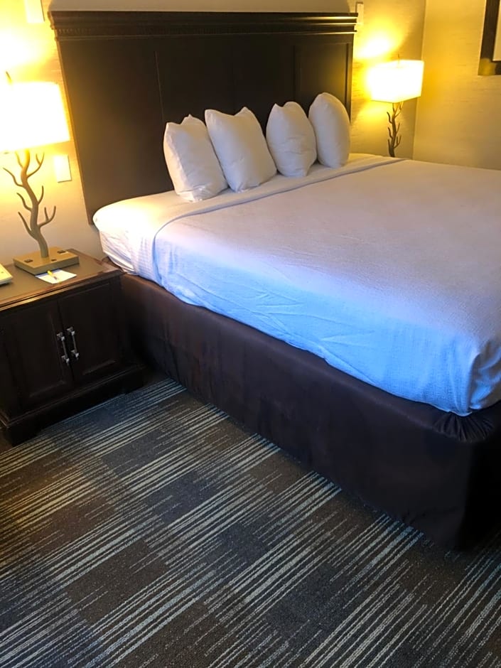 Quality Inn Bath