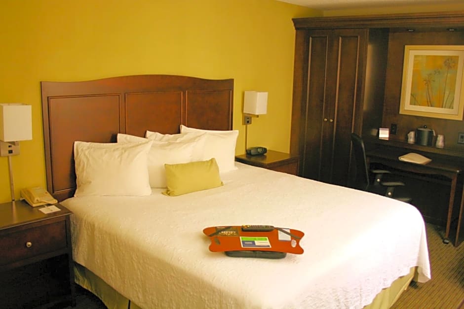 Hampton Inn Kansas City - Airport