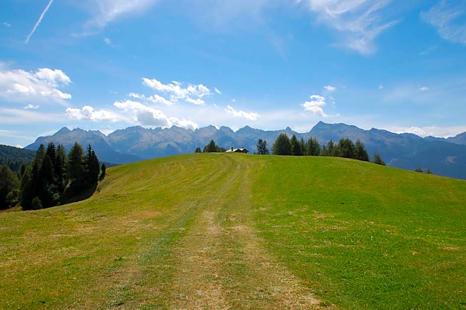 Cimon Dolomites Hotel