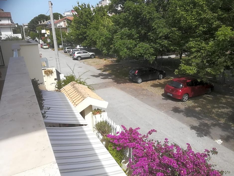 Il Cavalluccio Marino