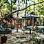 Pepem Eco Hotel Tulum at the Jungle