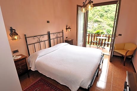 Deluxe Double or Twin Room with River View