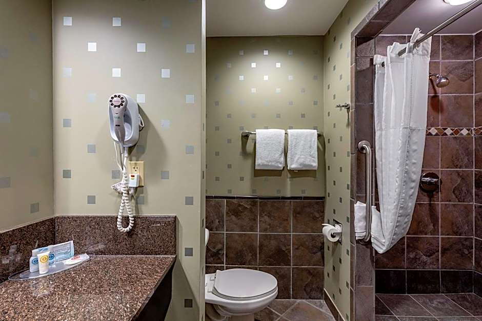 Comfort Suites Perrysburg