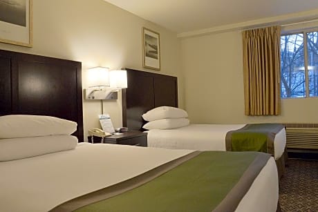 Double Room with Two Double Beds