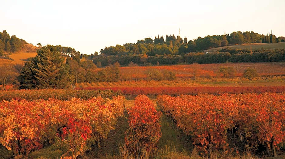 B&B-Les Balcons de Maragon