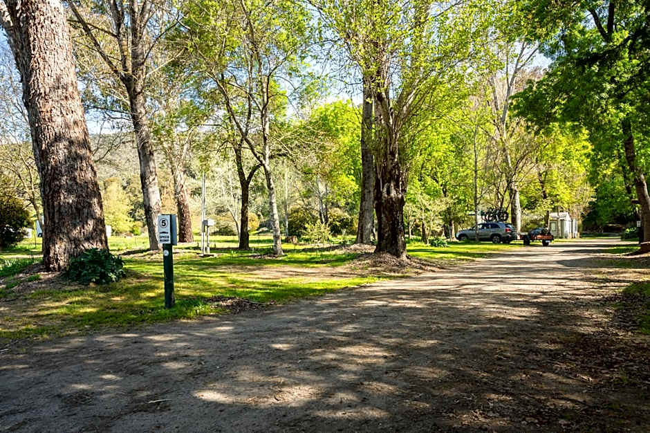 Bright Accommodation Park