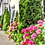 Berne Apartments
