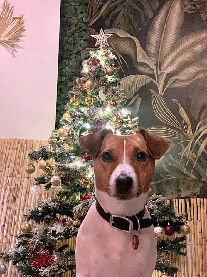 Social - Coliving & Coworking - Madrid