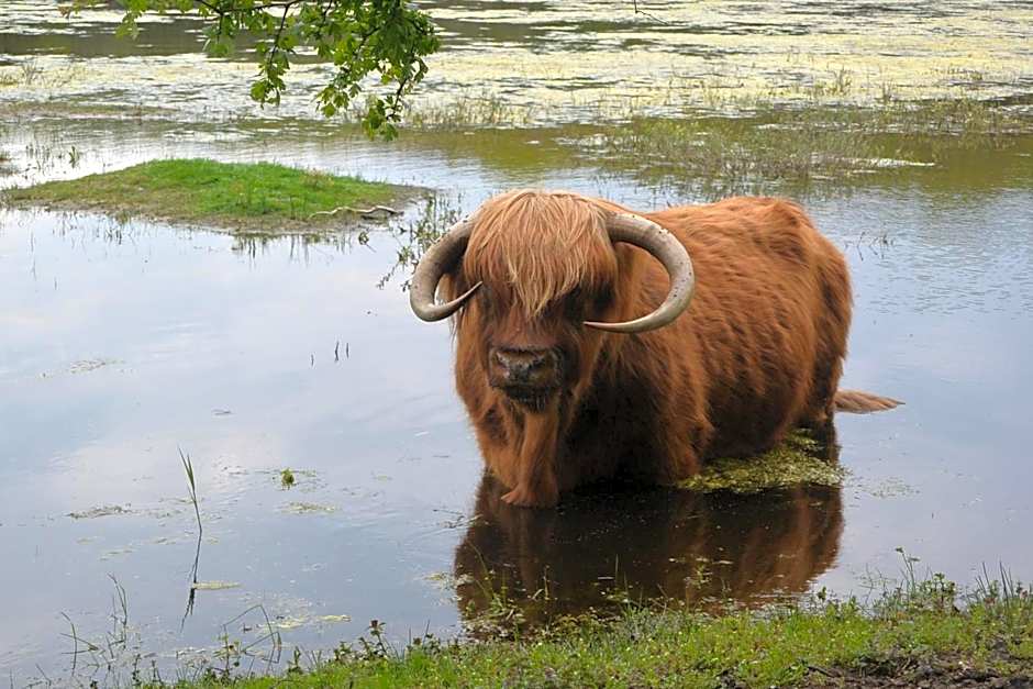 Strandhotel Golfzang